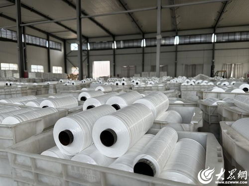 解碼經(jīng)緯交錯間的堅守與創(chuàng)新——民企陽谷廣信的小小編織袋織出大天地